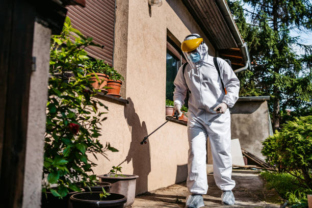 Best Best Pest Control Companies  in Des Plaines, IL