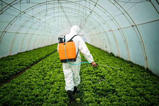 Professional Pest Control in Des Plaines, IL