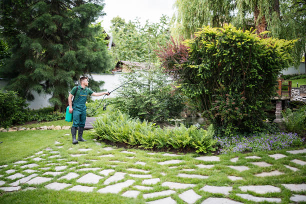 Best Bird Control  in Des Plaines, IL