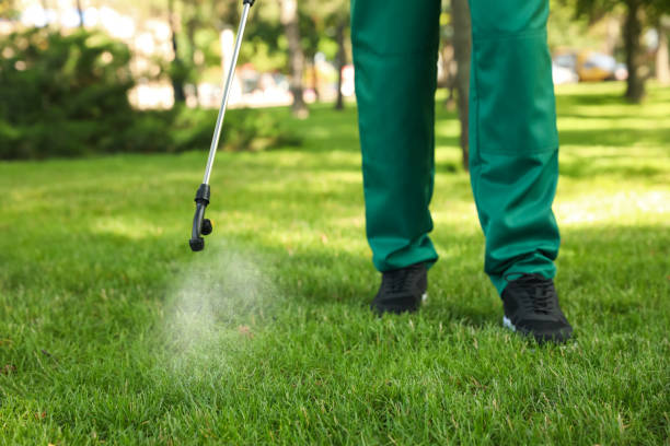 Best Affordable Pest Control Services  in Des Plaines, IL