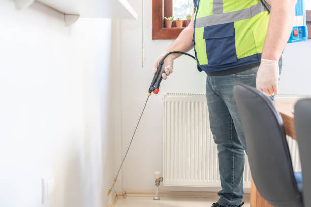 Best Mosquito Control Services  in Des Plaines, IL