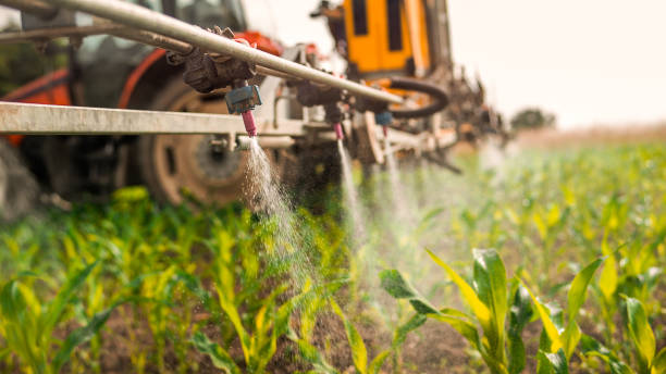Best Pest Removal Services  in Des Plaines, IL