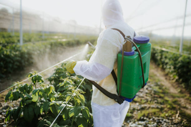 Professional Pest Control in Des Plaines, IL